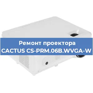 Ремонт проектора CACTUS CS-PRM.06B.WVGA-W в Челябинске